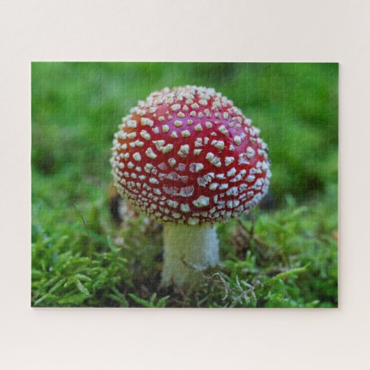 Fly Agaric Mushroom Jigzaag Puzzle Legpuzzel (Horizontaal)
