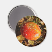 Fly Agaric Mushroom Magnet (Voorkant / Achterkant)