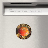 Fly Agaric Mushroom Magnet (Insitu (Vaatwasser))