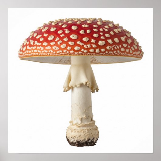 Fly Agaric Mushroom Poster (Voorkant)