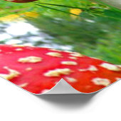 Fly Agaric-paddenstoelen Poster (Hoek)