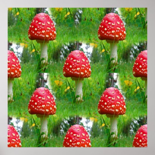 Fly Agaric-paddenstoelen Poster (Voorkant)
