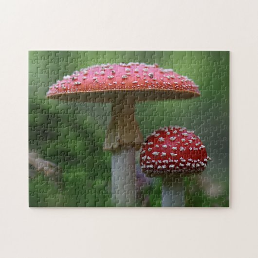 Fly Agaric Red Mushrooms Foto Puzzle Legpuzzel (Horizontaal)