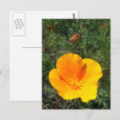 Fly Away Bee Briefkaart (Voorkant / Achterkant)