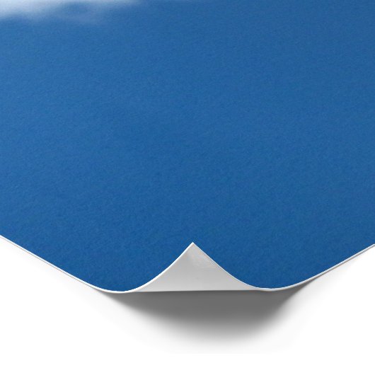 Fly Ball Poster (Hoek)