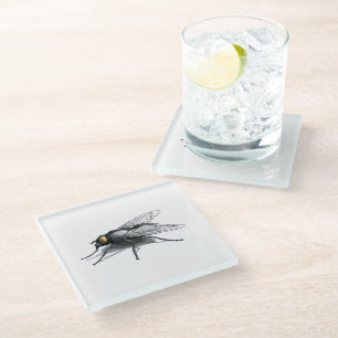 Fly Boeddy reus vliegt onderzetter van helder glas