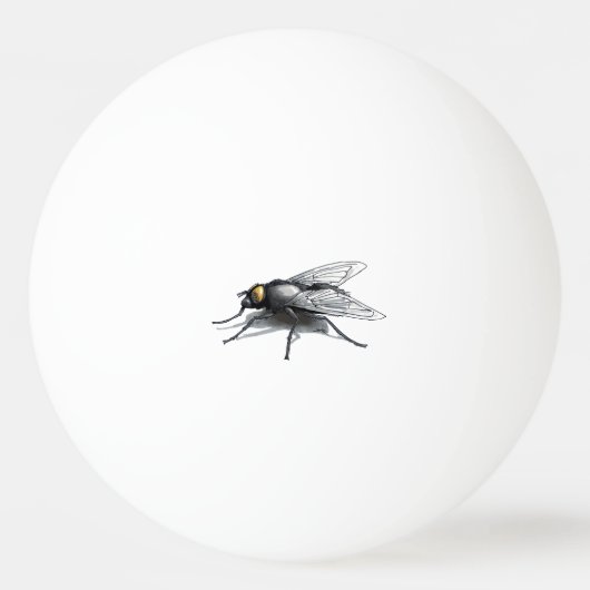Fly Buddy 1-sterren ping pong bal Pingpongbal (Voorkant)