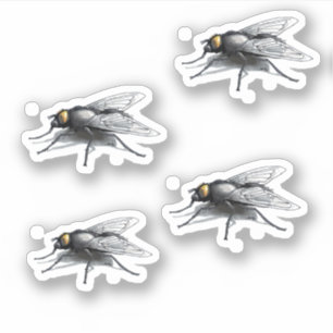 Fly Buddy 4 kleine contour stickers