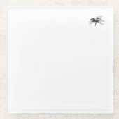 Fly Buddy clear glass onderzetter Glazen Onderzetter (Voorkant)