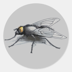 Fly Buddy grijs grote ronde stickers