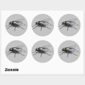Fly Buddy grijs grote ronde stickers (Vel)