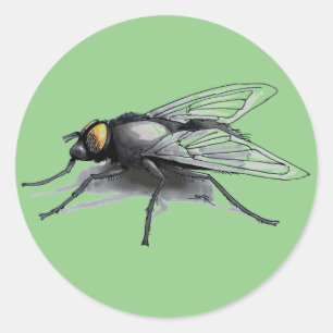 Fly Buddy groen grote ronde stickers