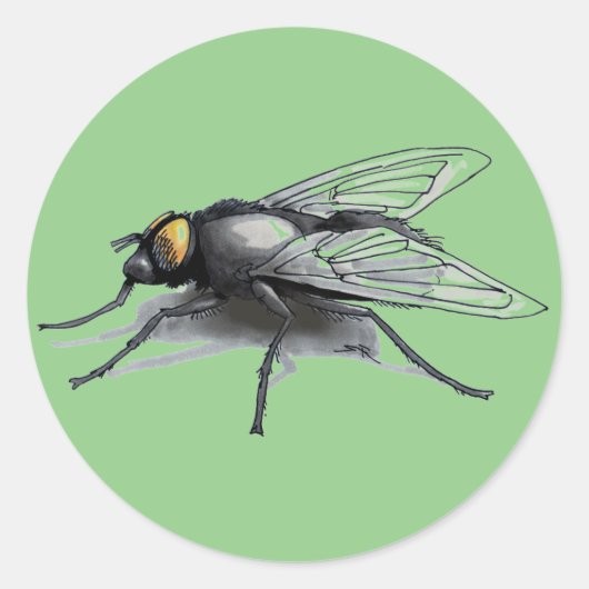 Fly Buddy groen grote ronde stickers (Voorkant)