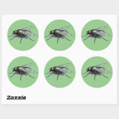 Fly Buddy groen grote ronde stickers (Vel)