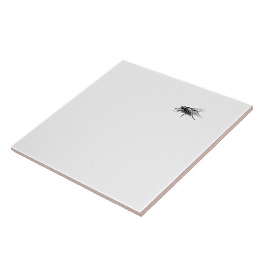 Fly Buddy grote tegel Tegeltje (Zijkant)