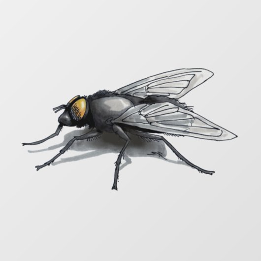 Fly Buddy kleine schaduw venster cling back stick Raamsticker (Vel)