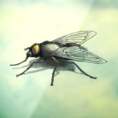 Fly Buddy kleine schaduw venster cling back stick Raamsticker (Vel 3)