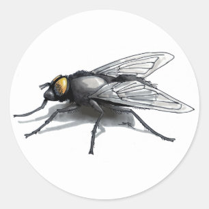 Fly Buddy witte grote ronde stickers