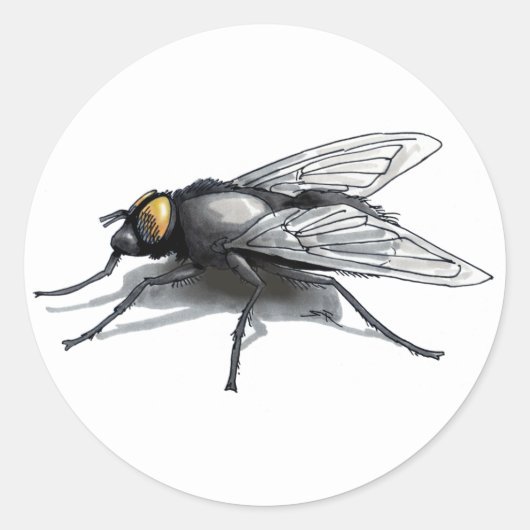 Fly Buddy witte grote ronde stickers (Voorkant)