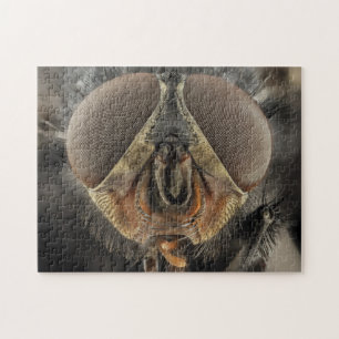 Fly Eyes Close-up Insect Photo Puzzle Legpuzzel