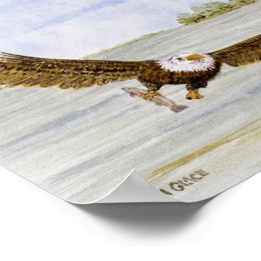 Fly Fishin'- Bald Eagle Poster (Hoek)