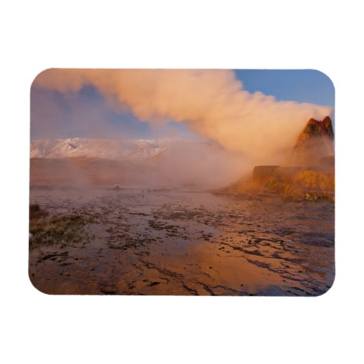 Fly Geyser in de Black Rock Desert Magneet (Horizontaal)