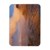 Fly Geyser in de Black Rock Desert Magneet (Verticaal)