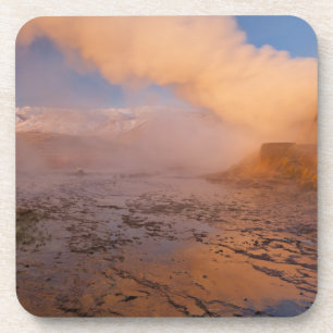 Fly Geyser in de Black Rock Desert Onderzetter