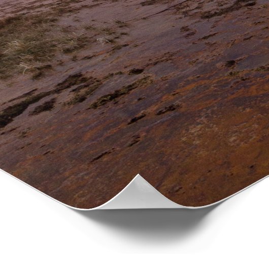 Fly Geyser in de Black Rock Desert Poster (Hoek)