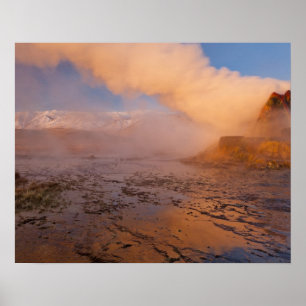 Fly Geyser in de Black Rock Desert Poster