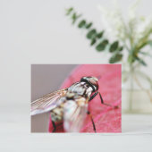 Fly Insect Briefkaart (Staand voorkant)