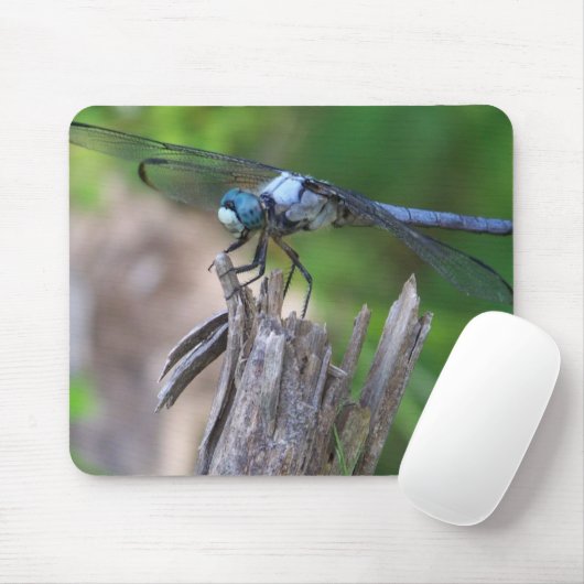 Fly Mouse Muismat (Met muis)