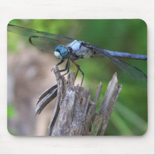 Fly Mouse Muismat