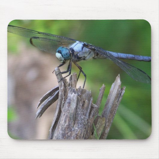 Fly Mouse Muismat (Voorkant)