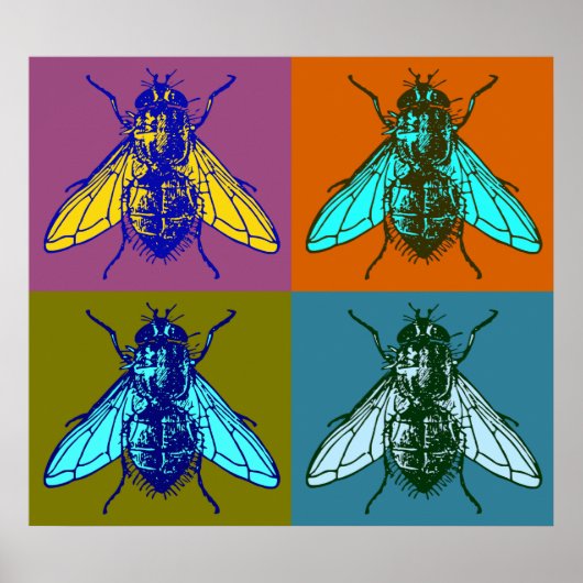 Fly Pop Art Poster (Voorkant)