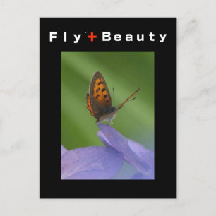 FLY + schoonheid Briefkaart