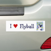 Flyball Border Collie Bumpersticker (Op auto)