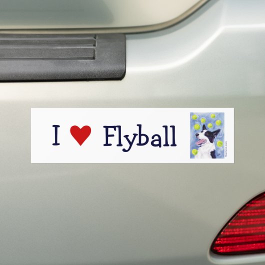 Flyball Border Collie Bumpersticker (Op auto)