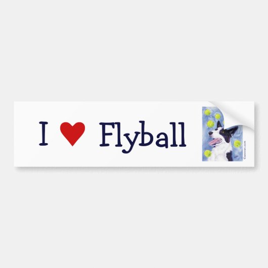 Flyball Border Collie Bumpersticker (Voorkant)