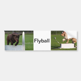 Flyball Bumpersticker