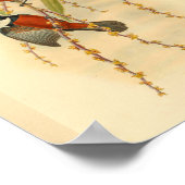 flycatcher Black Red Bird Print (Hoek)
