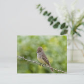 Flycatcher Briefkaart (Staand voorkant)