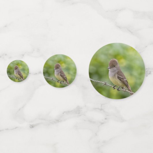Flycatcher Confetti (Voorkanten)