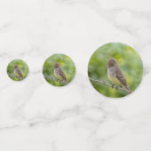 Flycatcher Confetti (Achterkanten)