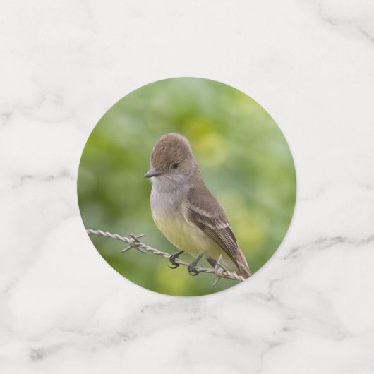 Flycatcher Confetti (Kleine voorkant)