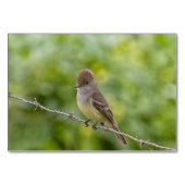 Flycatcher Kaart (Voorkant)