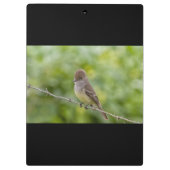 Flycatcher Klembord (Achterkant)