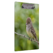 Flycatcher Klembord (Rechts)