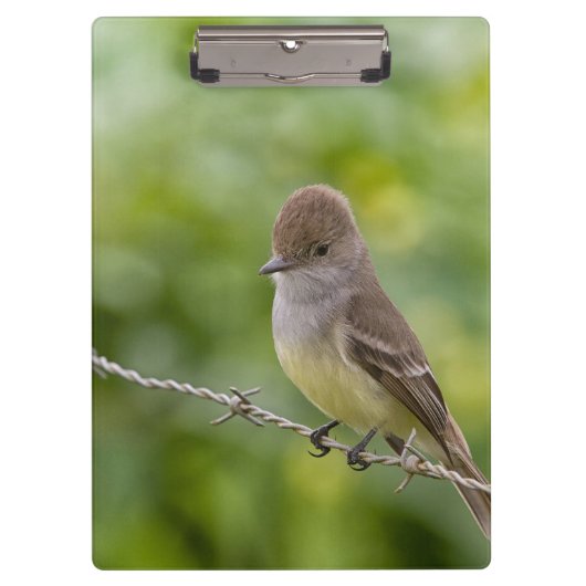 Flycatcher Klembord (Voorkant)