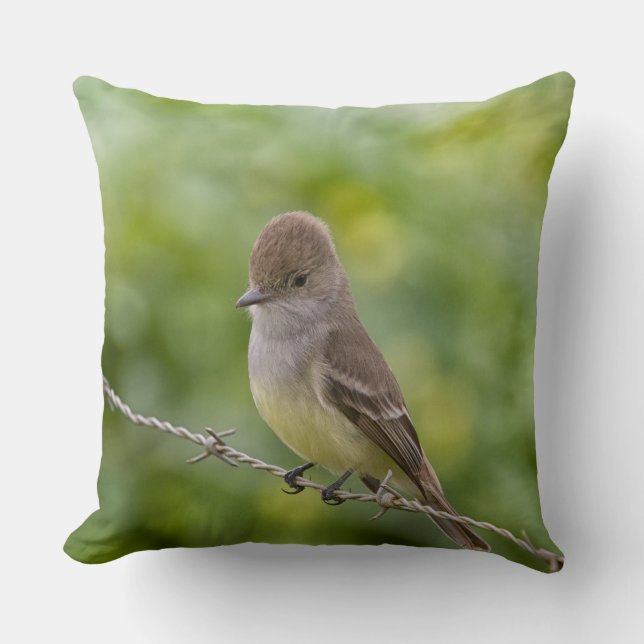 Flycatcher Kussen (Voorkant)